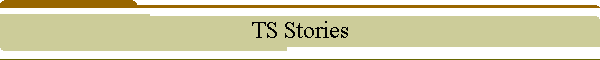 TS Stories